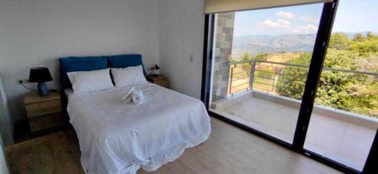 Oktonia Apartments-Evia Okhthonia Экстерьер фото